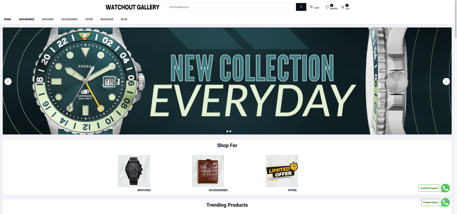 Website Development Project 5